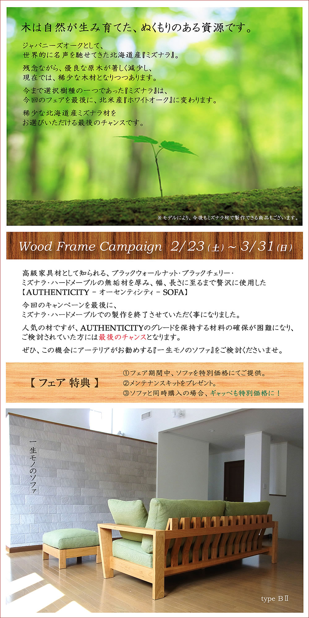 Wood Frame Campaign